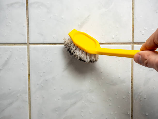 Best Toxic Mold Removal  in Elleale, ND