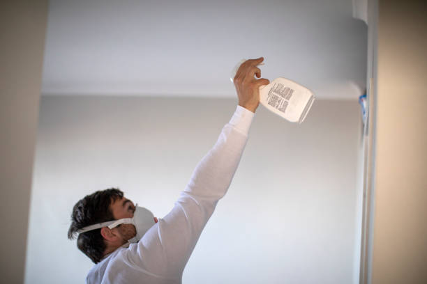 Best Water Damage Restoration  in Elleale, ND